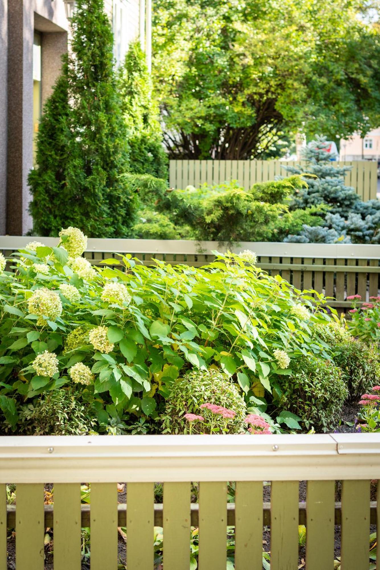 Garden Camping Tallinn Exterior photo